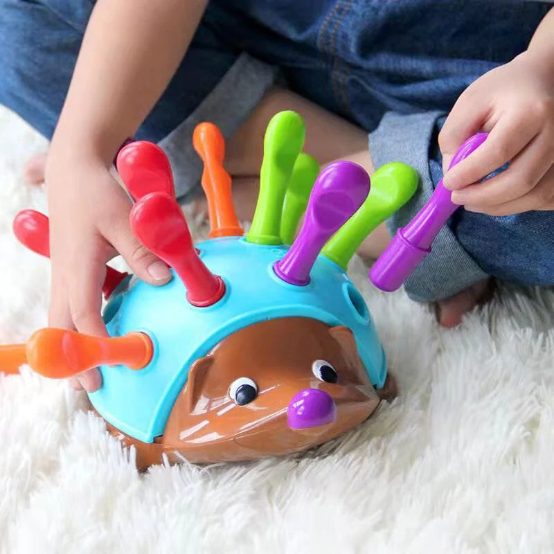 Ouriço Montessori de Treinamento Sensorial